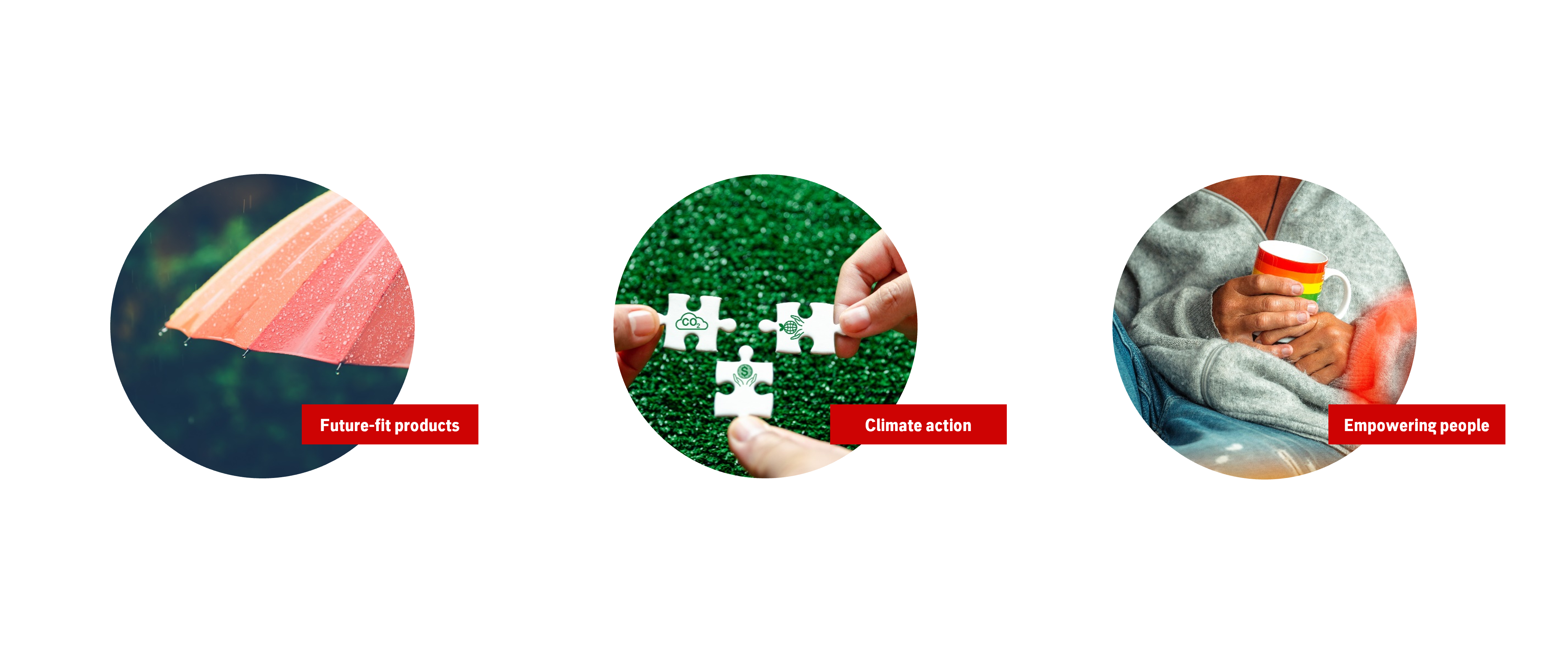 Sustainability strategic focus areas 